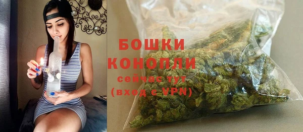 гидра Приозерск