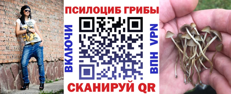 blacksprut ССЫЛКА  Ивантеевка  Галлюциногенные грибы Psilocybine cubensis  наркотики 